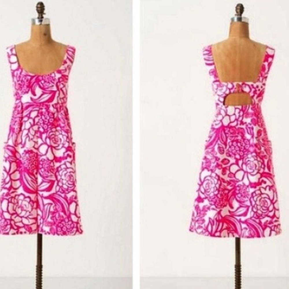 Anthropologie Vanessa Virginia Garden Party Dress